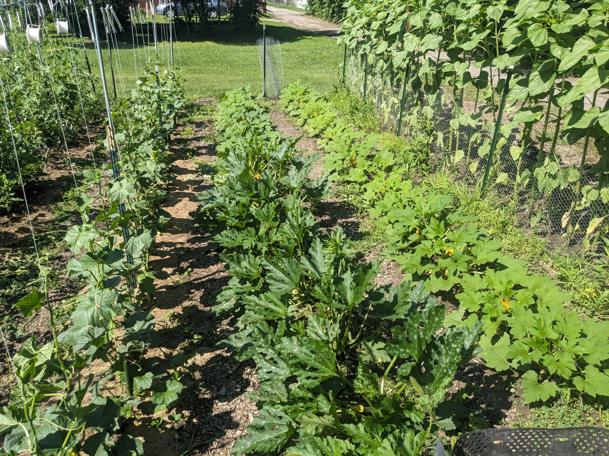 Green Garden