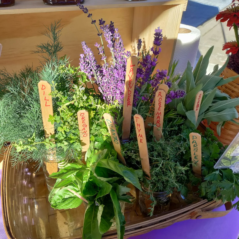 Herbs