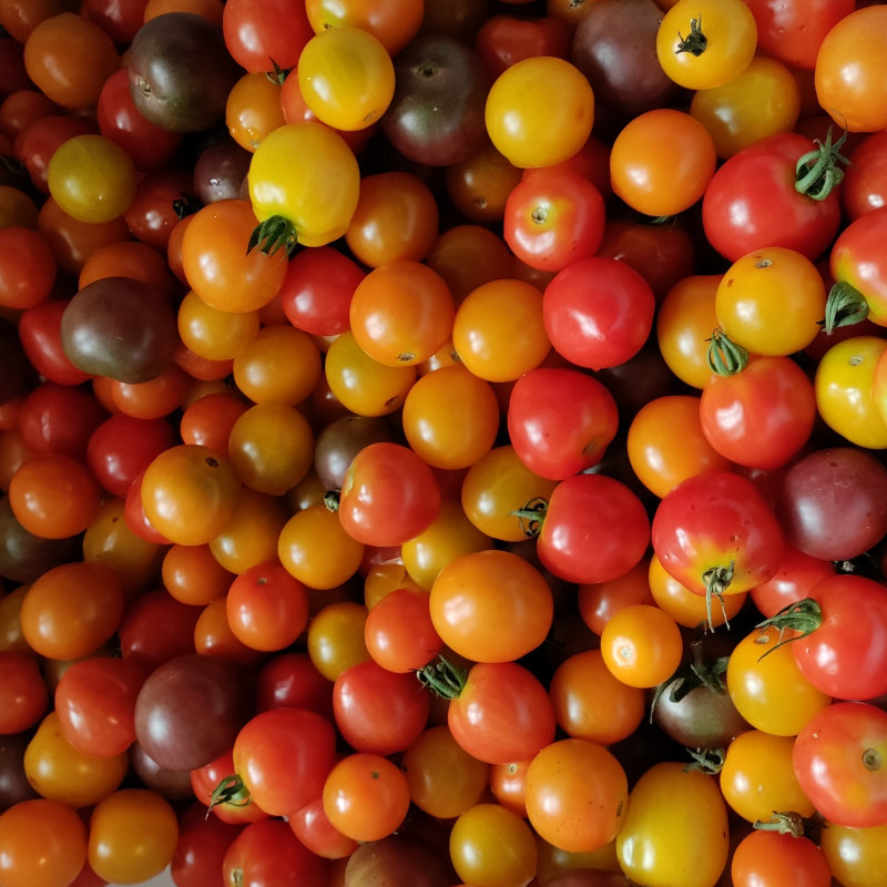 Vegetables